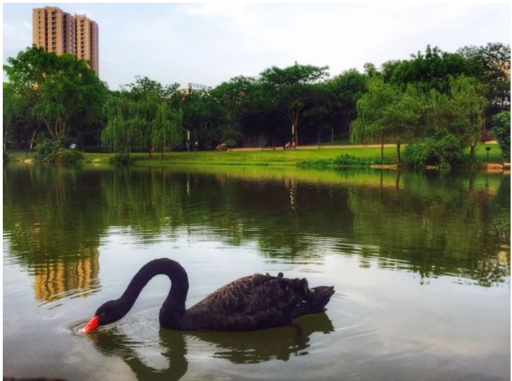 环评报告编制服务解决方案：自贡市沿滩区铁钱溪流域综合治理项目